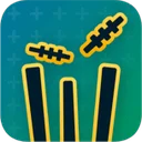 Gully Cricket logo