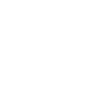 VIP Spins logo